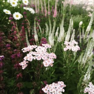 271826483_144225777993119_3815987898422645900_n_144225781326452