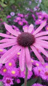 308016395_192548766504701_737756816190965671_n_192548779838033